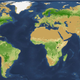 Illustration for article titled Humans Have Eliminated Half the World's Trees